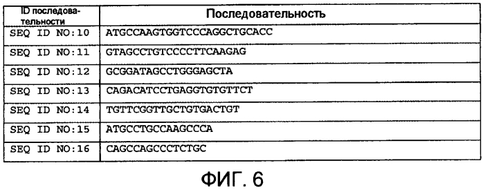 Лечение заболеваний, связанных с фактором роста эндотелия сосудов (vegf), посредством ингибирования природного антисмыслового транскрипта к vegf (патент 2569182)