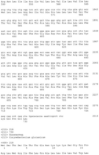Гены corynebacterium glutamicum, кодирующие белки резистентности и толерантности к стрессам (патент 2303635)
