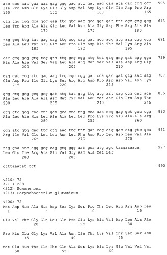 Гены corynebacterium glutamicum, кодирующие белки резистентности и толерантности к стрессам (патент 2303635)
