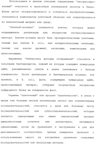 Scfv против egfrviii с улучшенной цитотоксичностью и выходом, иммунотоксины на их основе и способы их применения (патент 2317999)
