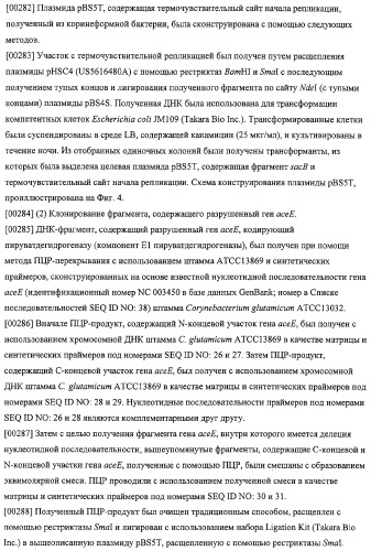 Использование фосфокетолазы для продукции полезных метаболитов (патент 2322496)