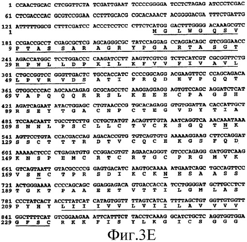 Анализы и способы, использующие биомаркеры (патент 2410438)