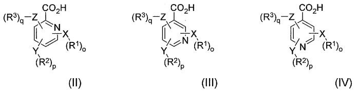 Конъюгаты гидрокодона с бензойной кислотой, производными бензойной кислоты и гетероарилкарбоновой кислотой, пролекарства, способы их получения и их применение (патент 2505541)