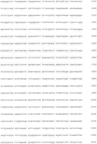 Новая гидрогеназа seq id no:5, очищенная из thermococcus onnurienus na1 с помощью моноokcида углерода, кодирующие ее гены, и способы получения водорода с использованием микроорганизма, имеющего указанные гены (патент 2460789)