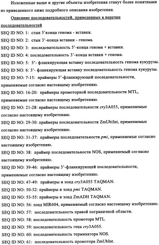 Вариант кукурузы mir604 (патент 2351122)