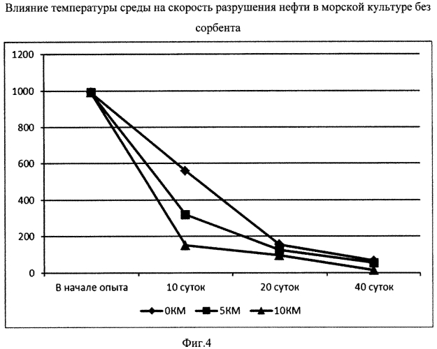 Способ очистки от нефти и нефтепродуктов морских и солоноватоводных экосистем в условиях высоких широт (патент 2571180)