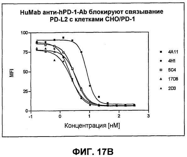 Моноклональные антитела человека к белку программируемой смерти 1 (pd-1) и способы лечения рака с использованием анти-pd-1-антител самостоятельно или в комбинации с другими иммунотерапевтическими средствами (патент 2494107)