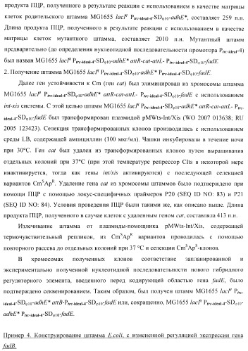 Бактерия - продуцент 1-бутанола и способ получения 1-бутанола (патент 2431672)