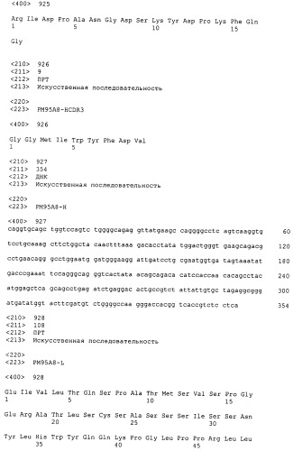 Psma×cd3 биспецифическое одноцепочечное антитело с межвидовой специфичностью (патент 2559531)