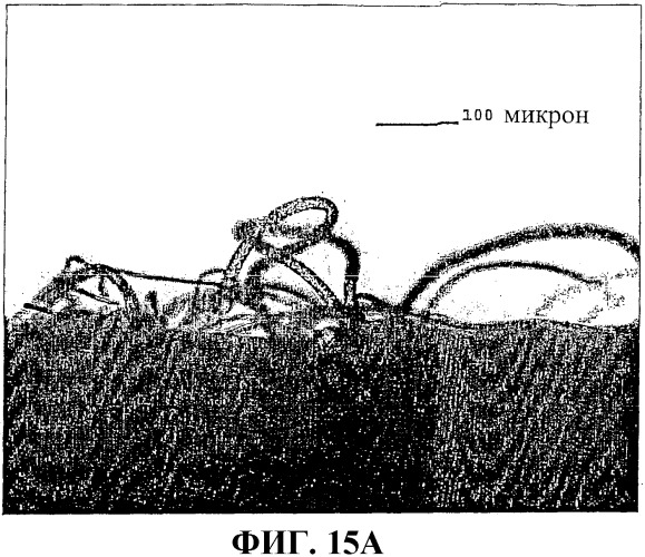 Застежки на основе пеноматериала (патент 2376915)