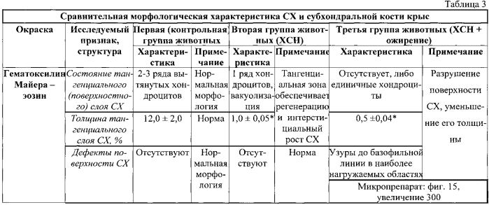 Способ моделирования остеоартроза (патент 2587039)