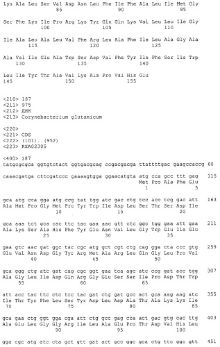 Гены corynebacterium glutamicum, кодирующие белки резистентности и толерантности к стрессам (патент 2303635)