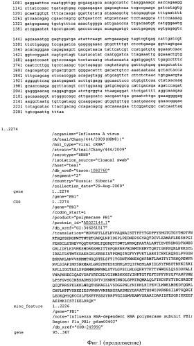 Штамм вируса гриппа a/teal/chany/444/09/ h8n8-субтипа для получения антигенсодержащего препарата, поликлональной сыворотки и применения в качестве контрольного референс-образца при оценке специфичности тест-систем на основе полимеразной цепной реакции (патент 2562856)