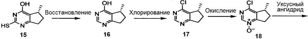 Биомаркеры для прогнозирования чувствительности к противоопухолевой терапии (патент 2635193)