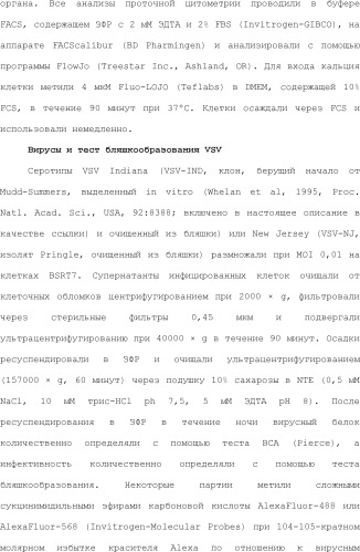 Нацеливание на антигенпрезентирующие клетки иммунонанотерапевтических средств (патент 2497542)