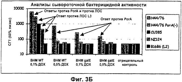 Вакцинные композиции, содержащие липополисахариды иммунотипа l2 и/или l3, происходящие из штамма neisseria meningitidis igtb- (патент 2364418)