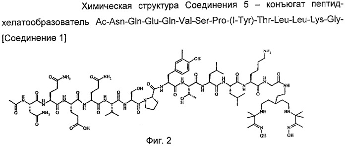 Улучшенные хелатные конъюгаты (патент 2298012)