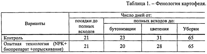 Способ стимулирования роста и развития картофеля (патент 2425477)