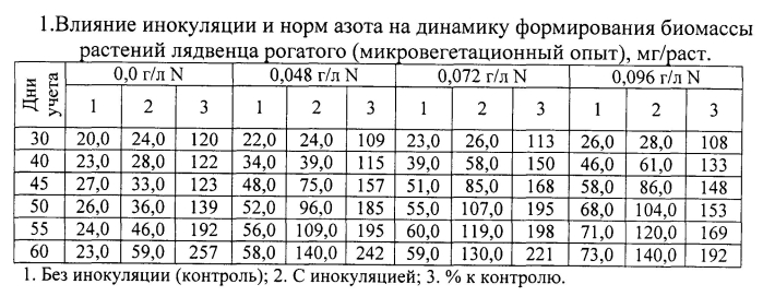 Способ отбора эффективных штаммов клубеньковых бактерий rhizobium loti l., способных к эффективному симбиозу с лядвенцем рогатым (патент 2592677)