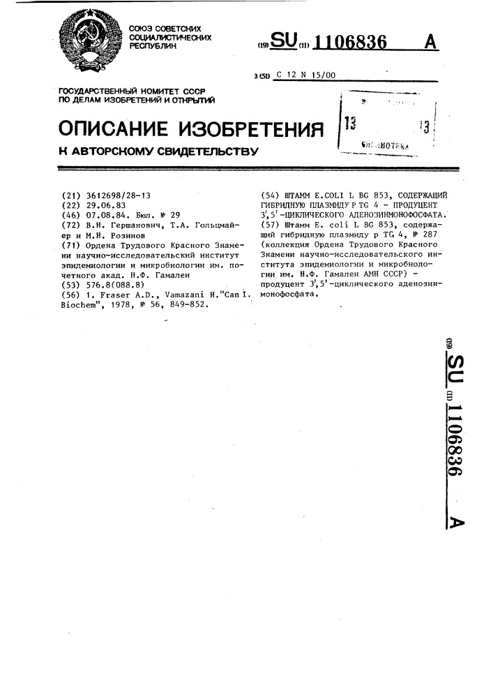 Штамм @ . @ @ 853,содержащий гибридную плазмиду @ 4- продуцент 3,5-циклического аденозинмонофосфата (патент 1106836)