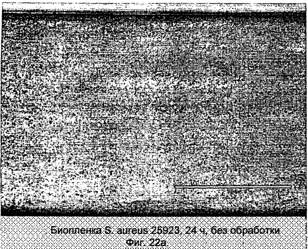 Ингибирование организмов биопленки (патент 2548786)