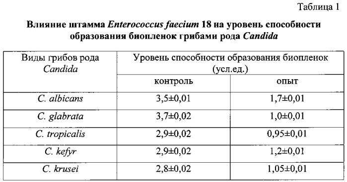 Штамм бактерий enterococcus faecium, обладающий способностью снижать образование биопленок грибами рода candida (патент 2576008)