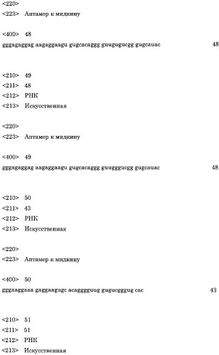 Аптамер против мидкина и его применение (патент 2460794)