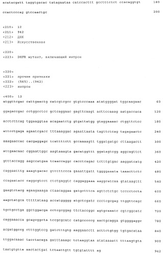 Вектор экспрессии млекопитающих (патент 2494147)