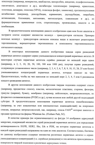 Чипы на основе антител для определения множественных трансдукторов сигналов в редких циркулирующих клетках (патент 2442171)