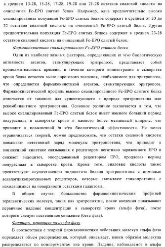 Fc-эритропоэтин слитый белок с улучшенной фармакокинетикой (патент 2370276)