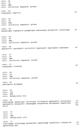 Способ получения l-аминокислот с использованием бактерии, принадлежащей к роду escherichia, в которой инактивирован один или несколько генов, кодирующих малые рнк (патент 2395567)