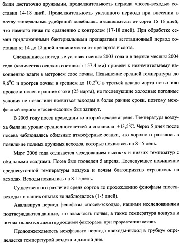 Способ возделывания яровой пшеницы предпочтительно в зоне светло-каштановых почв нижнего поволжья (варианты) (патент 2348137)