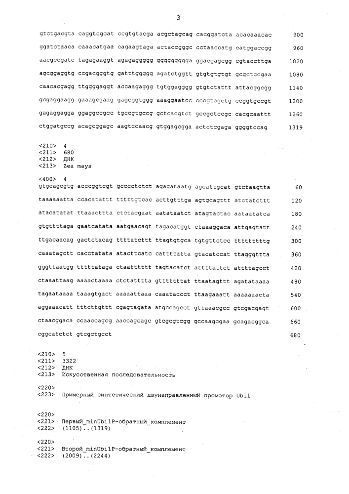 Конструкция и способ конструирования синтетического двунаправленного растительного промотора ubi1 (патент 2639538)
