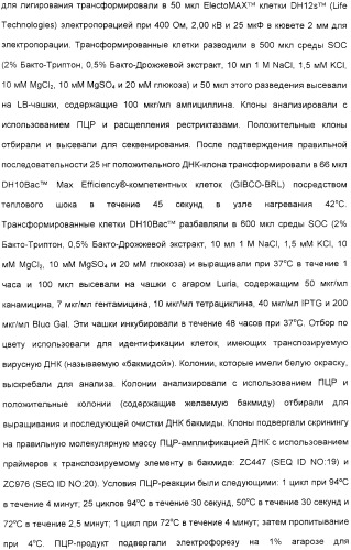 Выделенный полипептид, обладающий антивирусной активностью (варианты), кодирующий его полинуклеотид (варианты), экспрессирующий вектор, рекомбинантная клетка-хозяин, способ получения полипептида, антитело, специфичное к полипептиду, и фармацевтическая композиция, содержащая полипептид (патент 2321594)