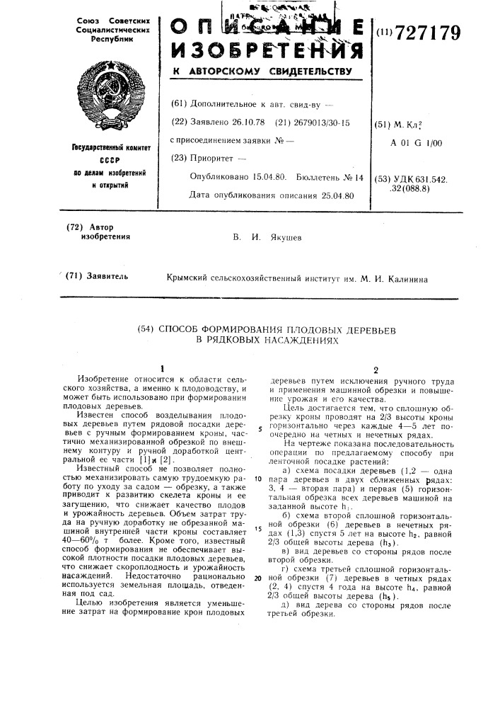 Способ формирования плодовых деревьев в рядковых насаждениях (патент 727179)