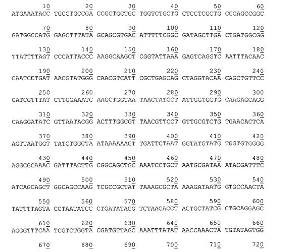 Рекомбинантная плазмидная днк pest877, детерминирующая экспрессию полипептида с активностью эстеразы psychrobacter cryohalolentis к5т на поверхности клеток escherichia coli, и штамм бактерий escherichia coli bl21(de3)plyss/pest877-продуцент полипептида с активностью эстеразы psychrobacter cryohalolentis к5т на поверхности клеток (патент 2526213)