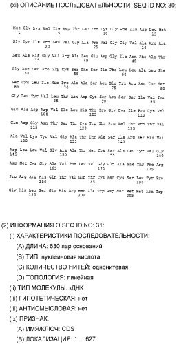 Очищенные белки оболочки вируса гепатита с для диагностического и терапевтического применения (патент 2313363)