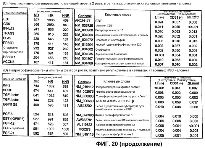 Изолированные популяции миелоидоподобных клеток костного мозга и способы лечения с ними (патент 2418856)