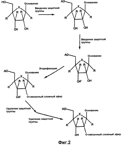 Модифицированные 2&#39;- и 3&#39;-нуклеозиды и их применение для получения лекарственного средства для лечения инфекций flaviviridae (патент 2483075)