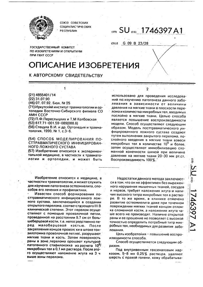 Способ моделирования посттравматического инфицированного ложного сустава (патент 1746397)