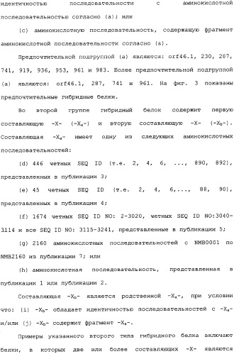 Гибридная и тандемная экспрессия белков нейссерий (патент 2339646)