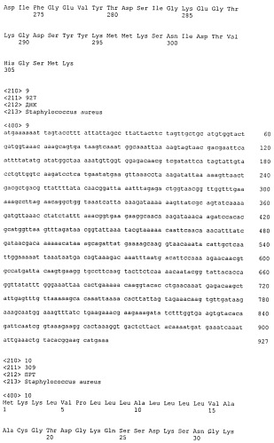 Иммуногенные композиции антигенов staphylococcus aureus (патент 2536981)