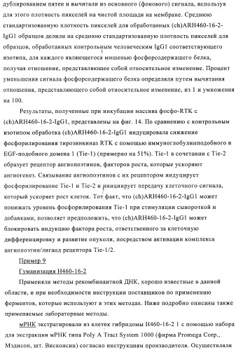 Химерные и гуманизированные антитела к cd44, которые опосредствуют цитотоксичность в отношении раковых клеток (патент 2487723)