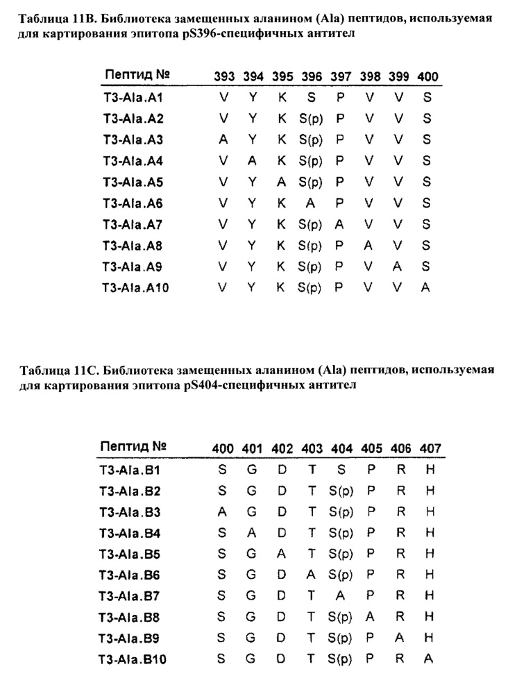 Фосфоспецифичные антитела, распознающие тау (патент 2639537)