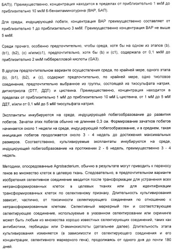 Улучшенная трансформация сои (патент 2389797)