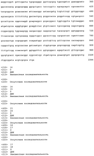 Ферментативная обработка масел (патент 2377307)