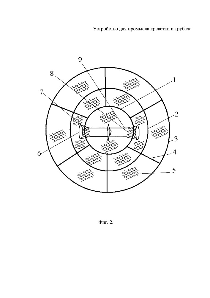 Устройство для промысла креветки и трубача (патент 2653367)
