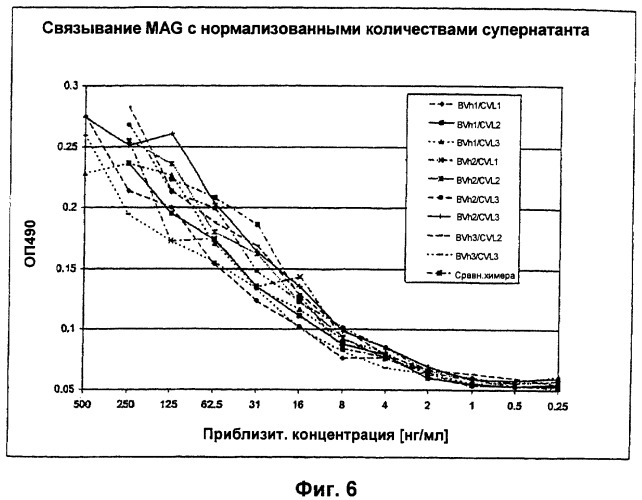 Антитела против миелин-ассоциированного гликопротеина (mag) (патент 2303461)