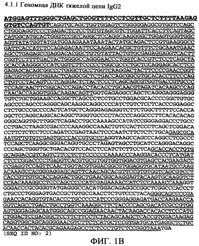 Применение антител к ctla-4 (патент 2346702)