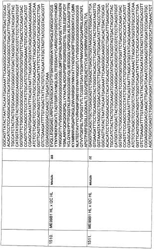 Pscaxcd3, cd19xcd3, c-metxcd3, эндосиалинxcd3, epcamxcd3, igf-1rxcd3 или fap-альфаxcd3 биспецифическое одноцепочечное антитело с межвидовой специфичностью (патент 2547600)